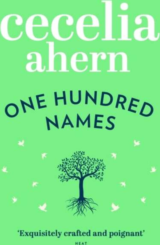 One Hundred Names av Cecelia Ahern