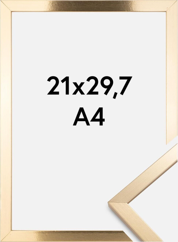 Ramme Trendy Gull 21x29,7 Cm (A4)