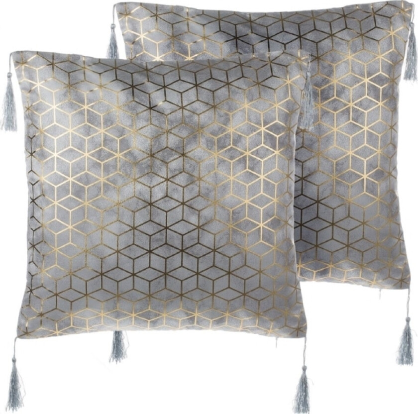 Set Of 2 Decorative Cushions Geometric 45 X 45 Cm Silver Camellia Design