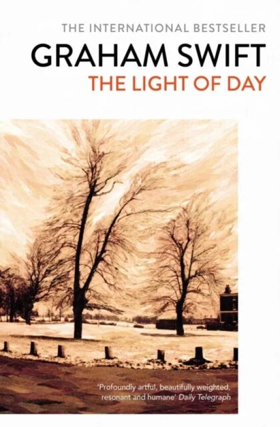 The Light of Day av Graham Swift