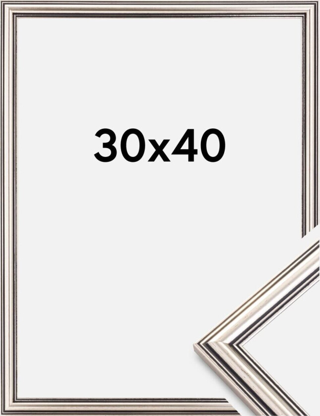 Focus Ramme Tango Sølv 30x40 Cm