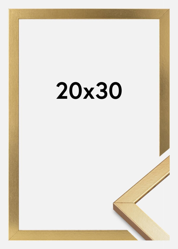 Ramme Minerva Akrylglass Gull 20x30 Cm