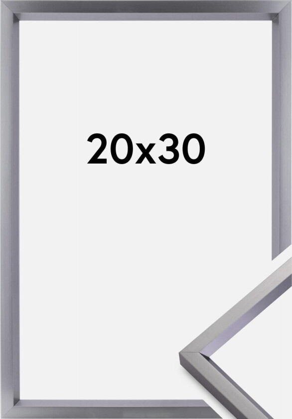 Ramme Steel Style Stål 20x30 Cm