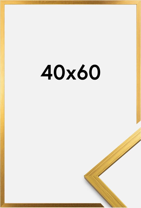 Ramme Edsbyn Gull 40x60 Cm