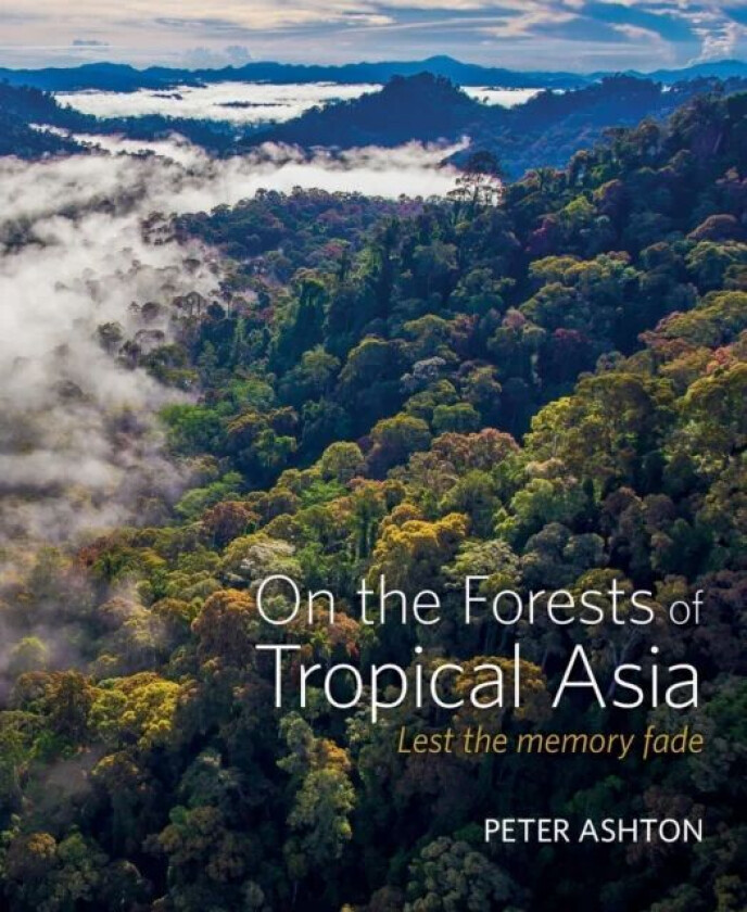 On the Forests of Tropical Asia av Peter Ashton