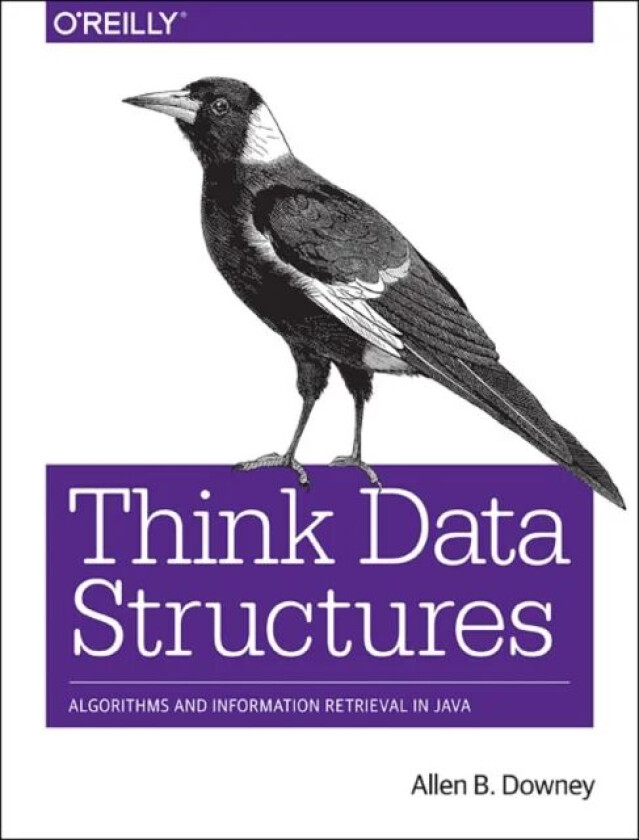 Think Data Structures av Allen B. Downey
