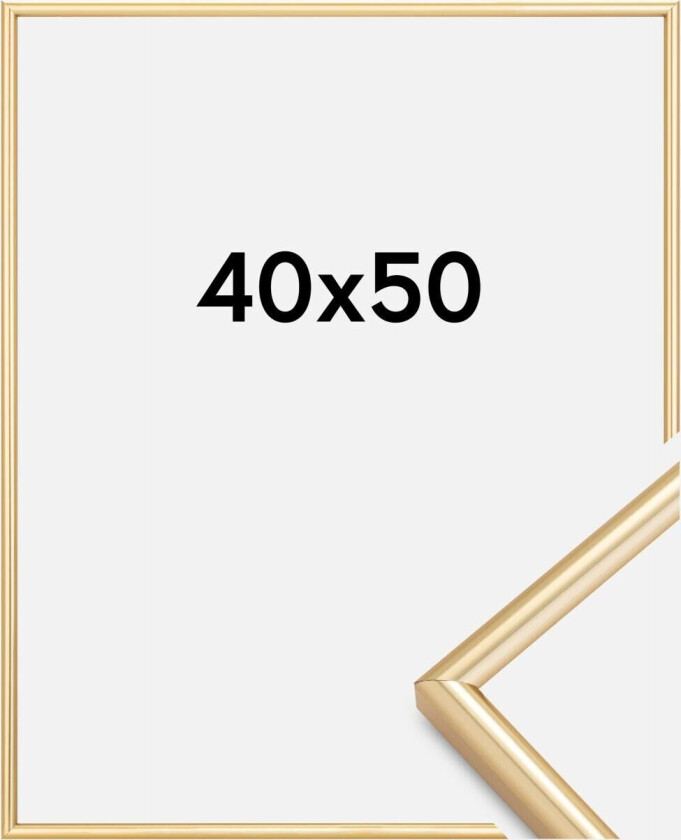 Ramme Galeria Gull 40x50 Cm