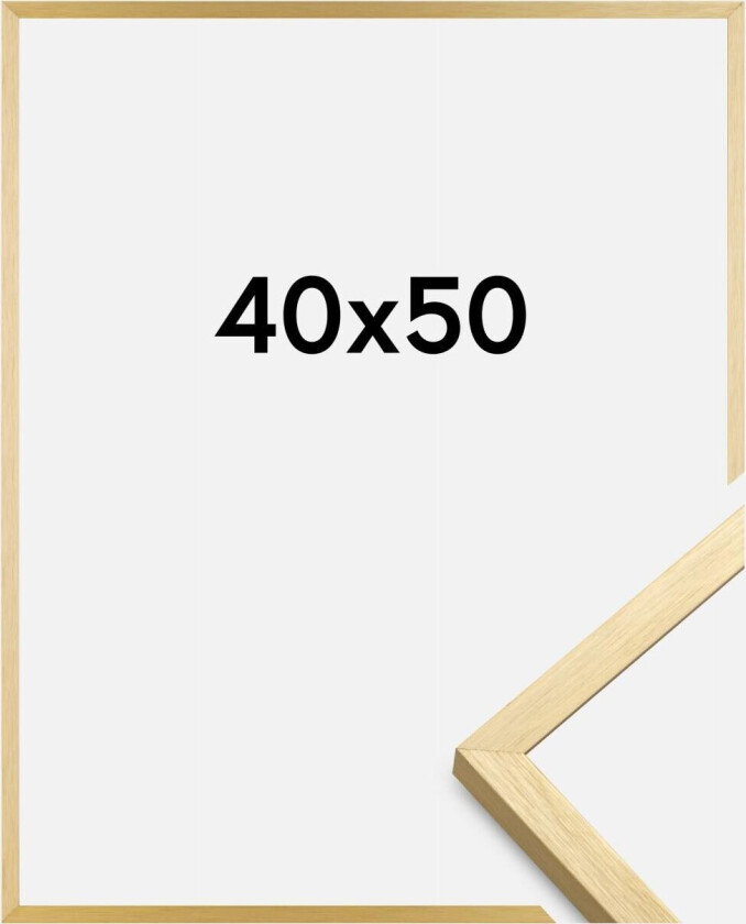 Ramme Chair Gull 40x50 Cm