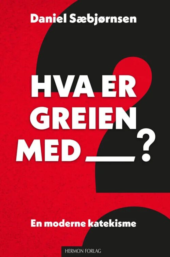 Hva er greien med? av Daniel Sæbjørnsen