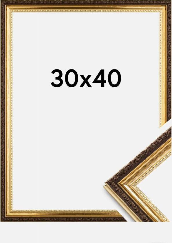 Ramme Abisko Akrylglass Gull 30x40 Cm