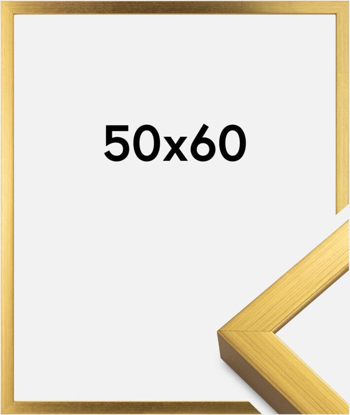 Ramme Falun Akrylglass Gull 50x60 Cm