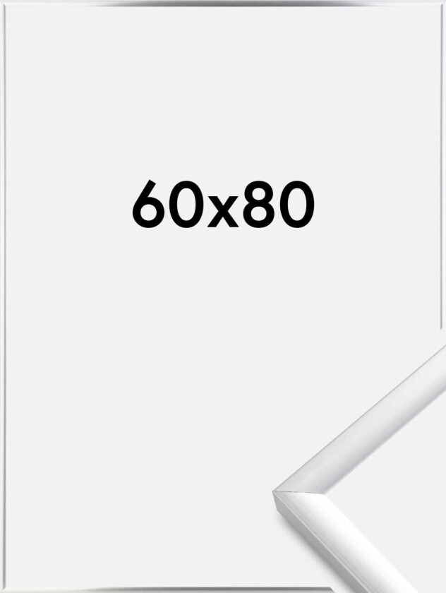 Ramme New Lifestyle Sølv 60x80 Cm