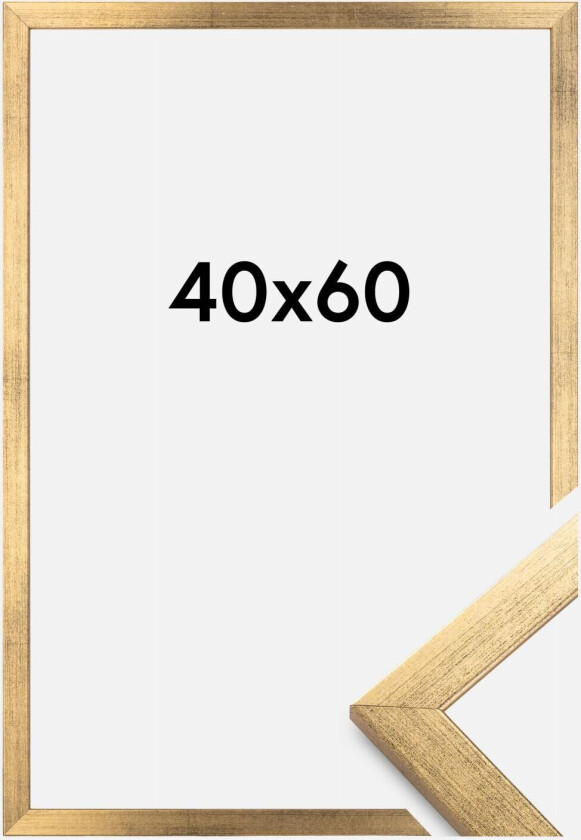 Ramme Stilren Akrylglass Gull 40x60 Cm