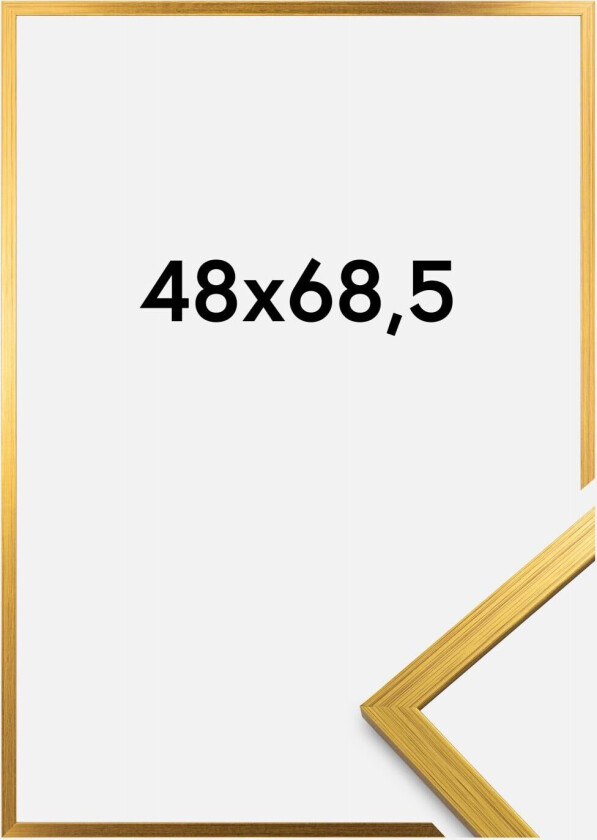 Ramme Edsbyn Akrylglass Gull 48x68,5 Cm