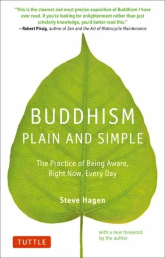 Buddhism Plain and Simple av Steve Hagen