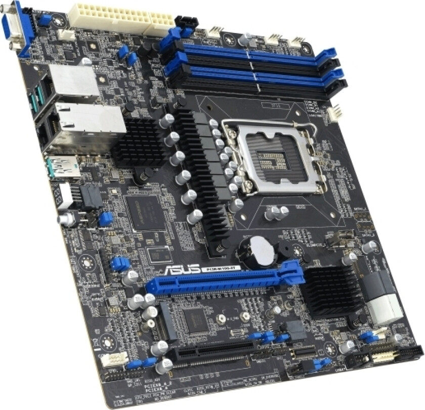 P13R-M/10G-2T serverkort 90SB0CC0-M0UAY0