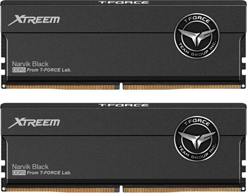 DDR5 - 32GB - 7600 - CL - 36 (2x 16 GB) dual kit, RAM (black, FFXD532G7600HC36FDC01, INTEL XMP, AMD EXPO)