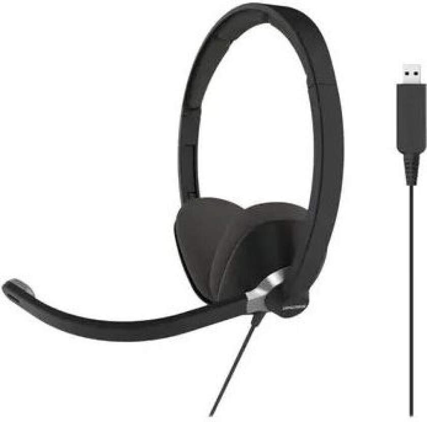 Cs300-usb Hodesett Usb Stereo Svart