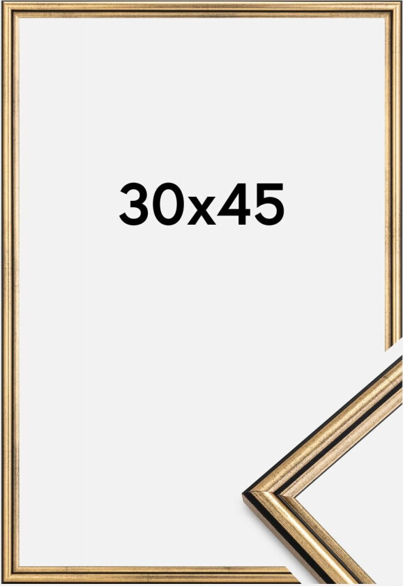 Ramme Horndal Akrylglass Gull 30x45 Cm