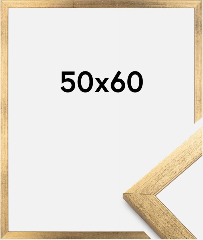 Ramme Stilren Akrylglass Gull 50x60 Cm