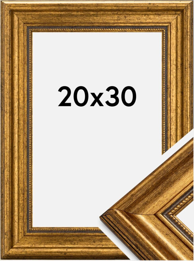 Ramme Rokoko Akrylglass Gull 20x30 Cm