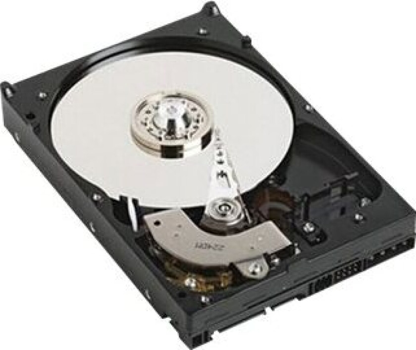 Dell - Harddisk - 1 TB - intern - 3.5" - SATA 1.5Gb/s - 7200 rpm - for PowerEdge R210, R210 II, R220, T110, T110 II, T320, T410, T420