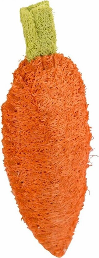 Gnagersnacks Loofah Gulrot