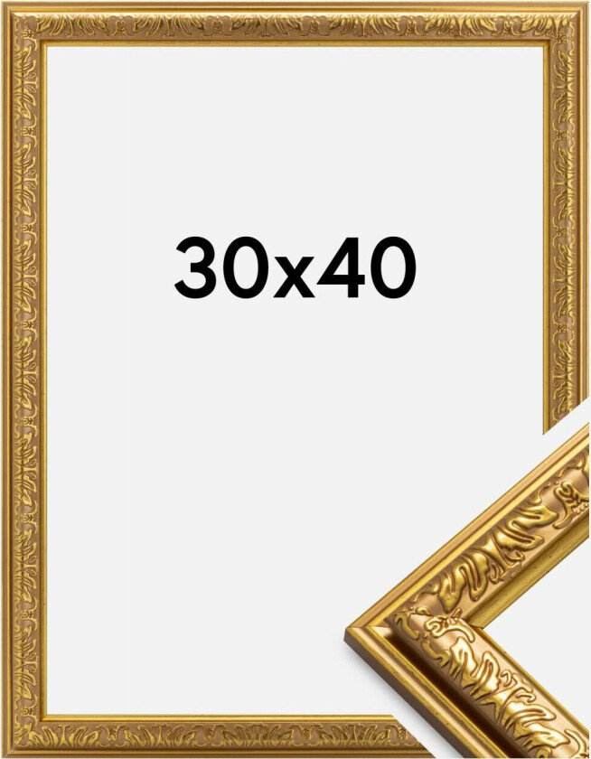 Ramme Nostalgia Gull 30x40 Cm