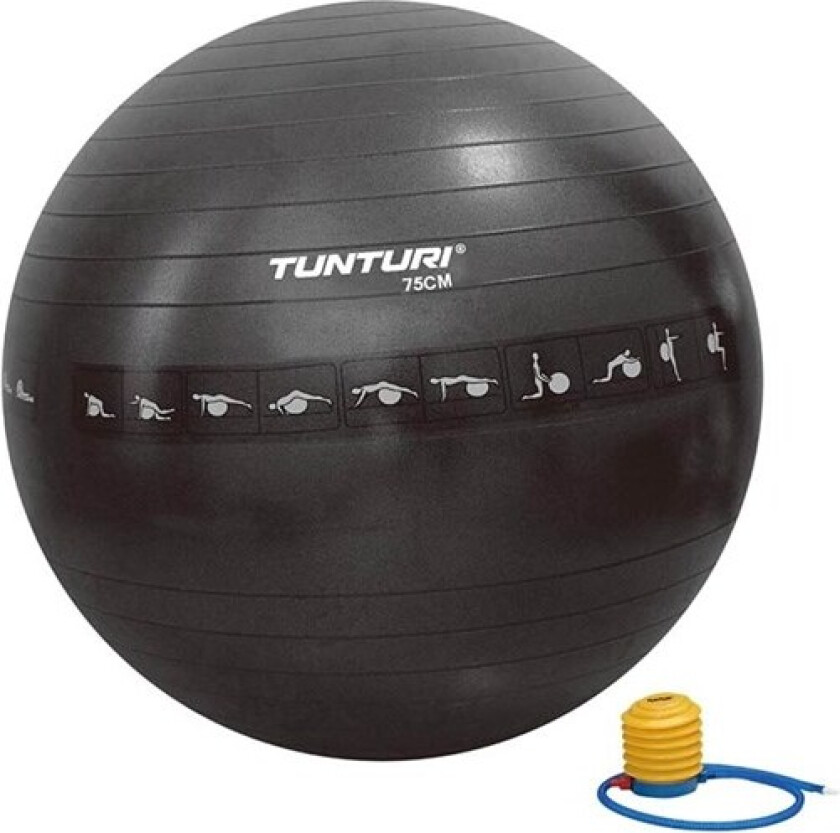 Gymball ABS 75 cm.