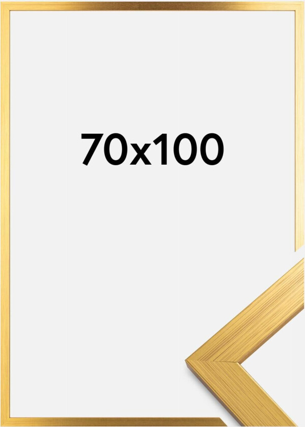 Ramme Gold Wood Akrylglass 70x100 Cm