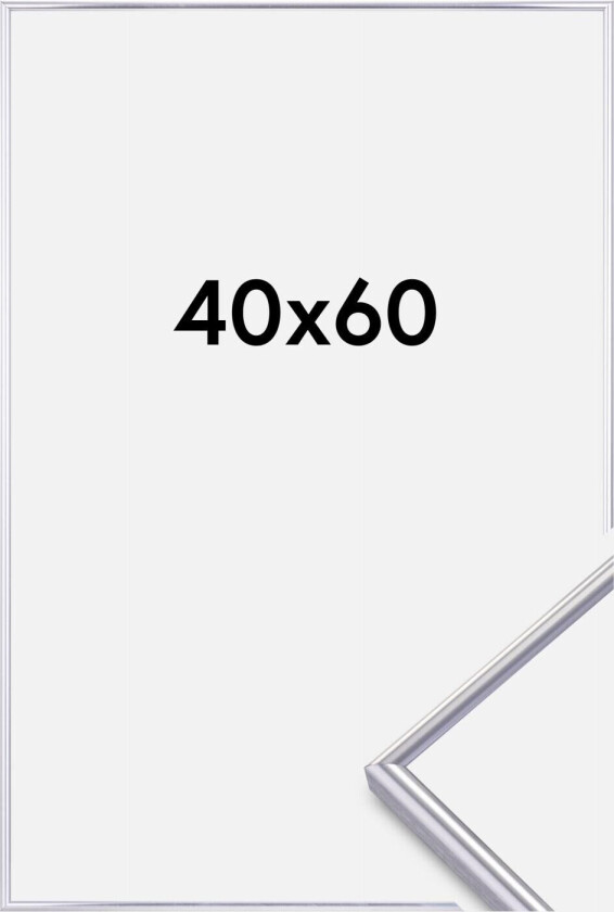 Focus Ramme Can-Can Sølv 40x60 Cm