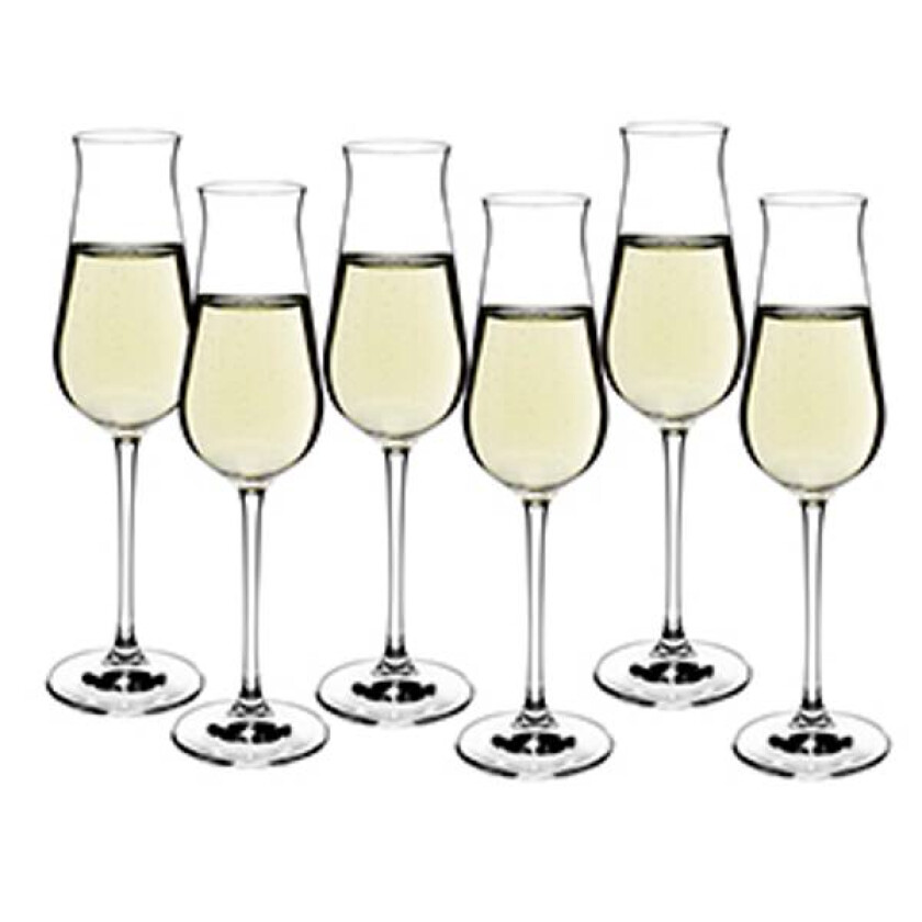 Sontell Desire Champagneglass - 6 stk