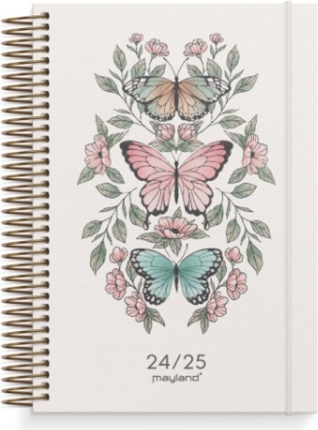 Study Story daglig kalender 2024/2025