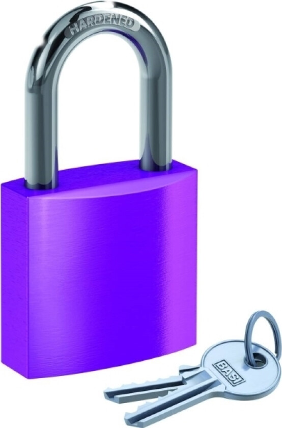 6190-4000-LILA Hængelås Forskellige Lilla