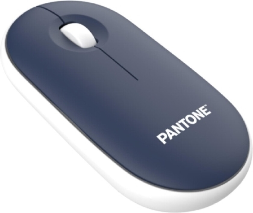 PT-MS001N1 mouse