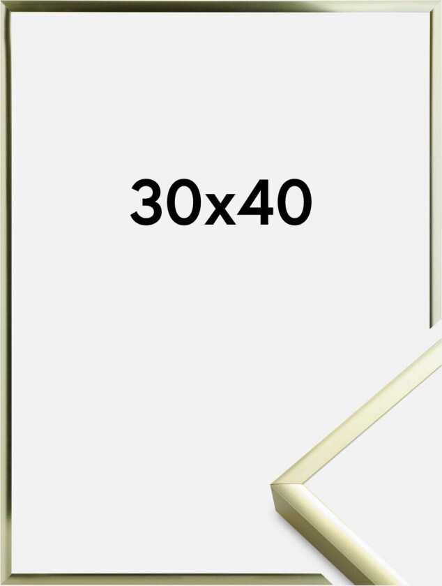 Ramme Poster Aluminum Gold 30x40 Cm