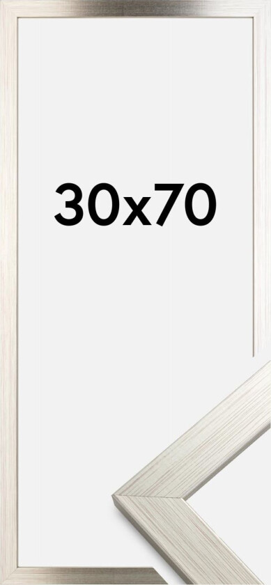Ramme Silver Wood 30x70 Cm