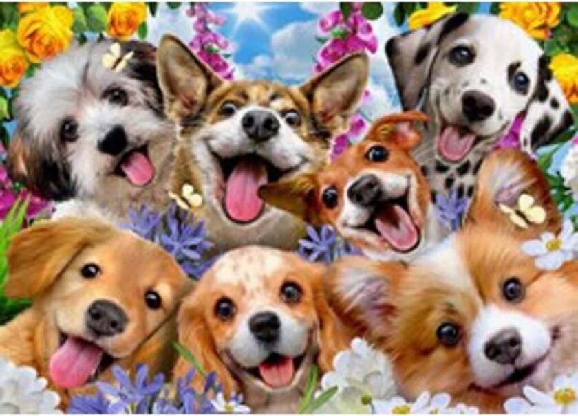 Pussel Educa Doggy selfie 1000 Delar
