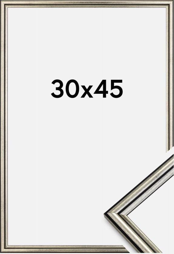 Ramme Horndal Sølv 30x45 Cm