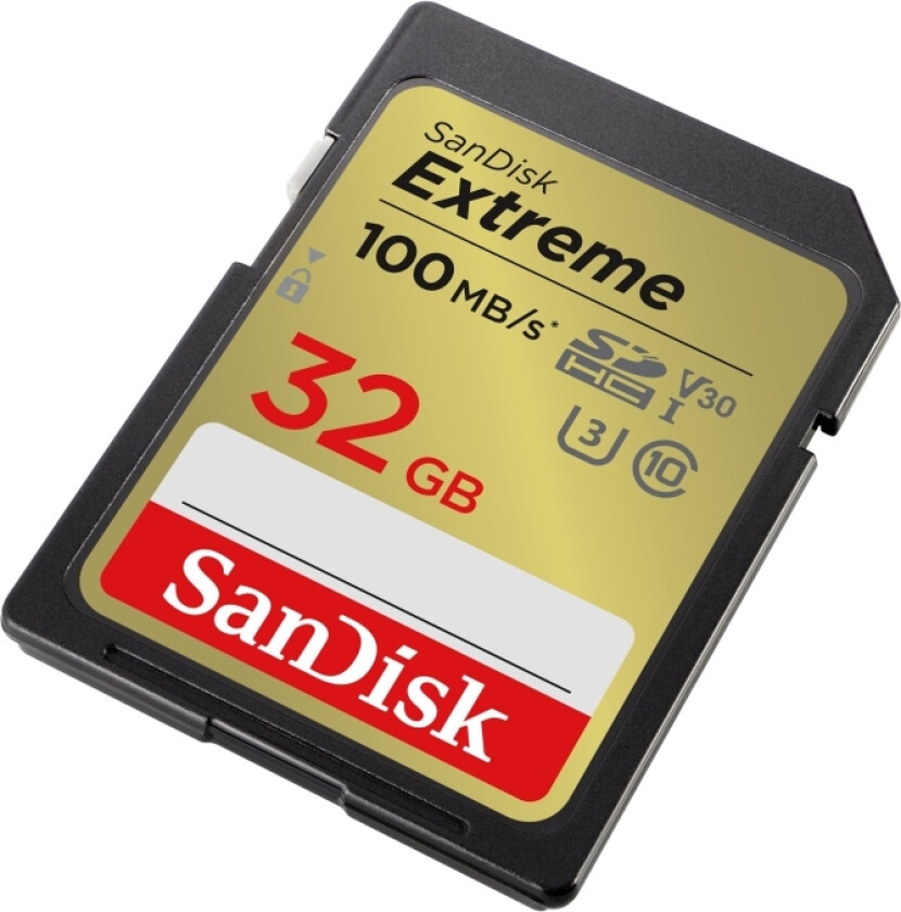 Minnekort SANDISK SDSDXVT-032G-GNCIN