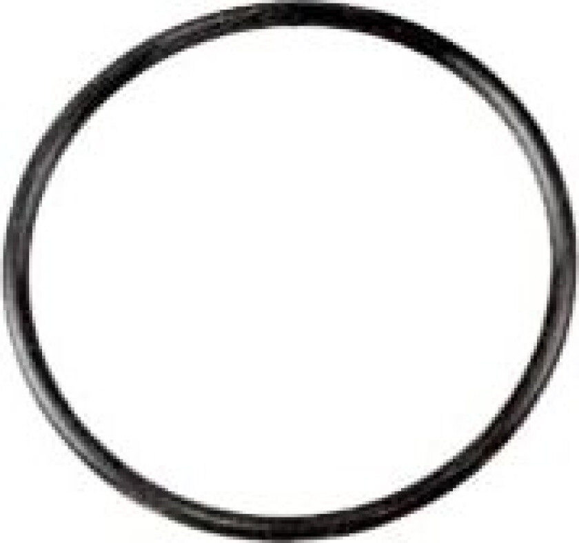 O-ring for Collector/Top valve for Filter Systems