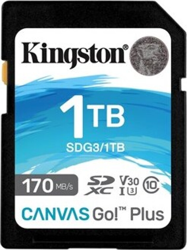 Bilde av Canvas Go! Plus - Flashminnekort - 1 TB - Video Class V30 / UHS-I U3 / Class10 - SDXC UHS-I
