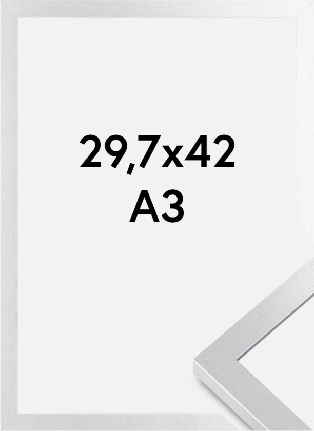 Ramme Selection Akrylglass Sølv 29,7x42 Cm (A3)