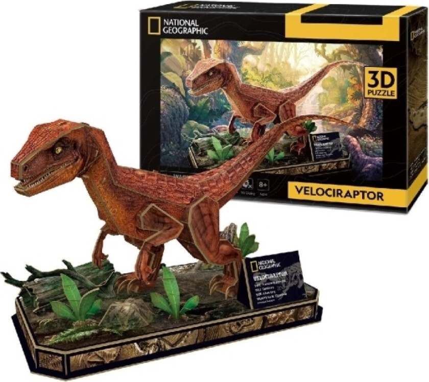 Puzzle 3D National Geographic - Welociraptor