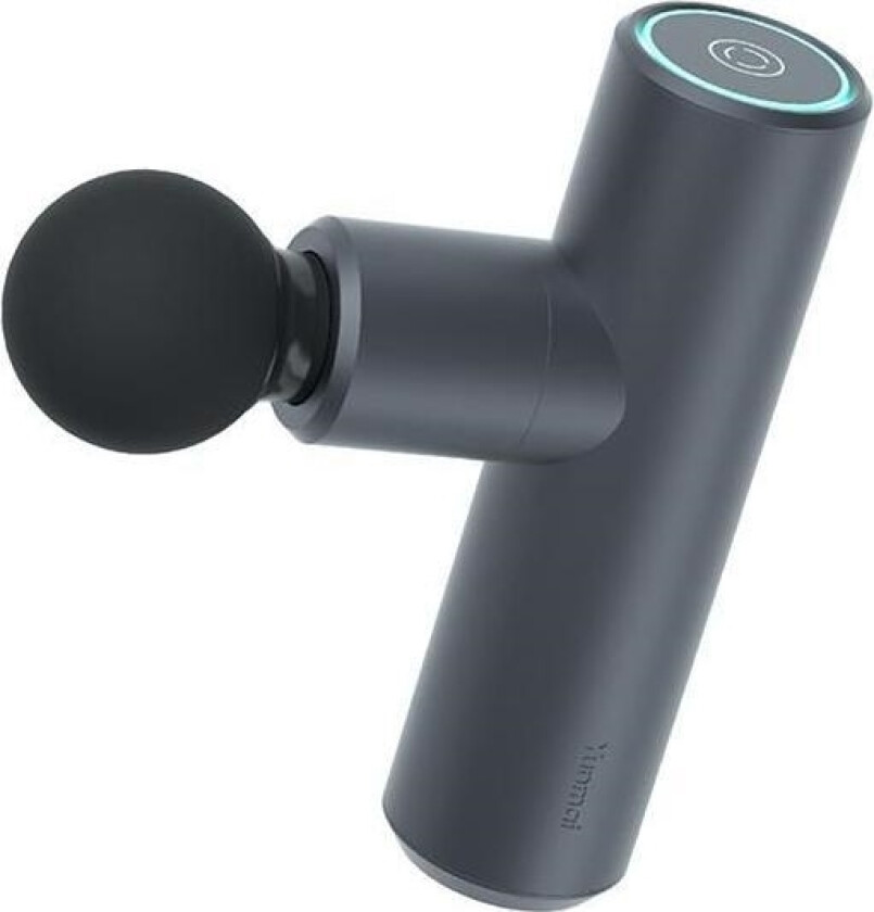 Massage Gun Mini YMFG-M352 (grey)