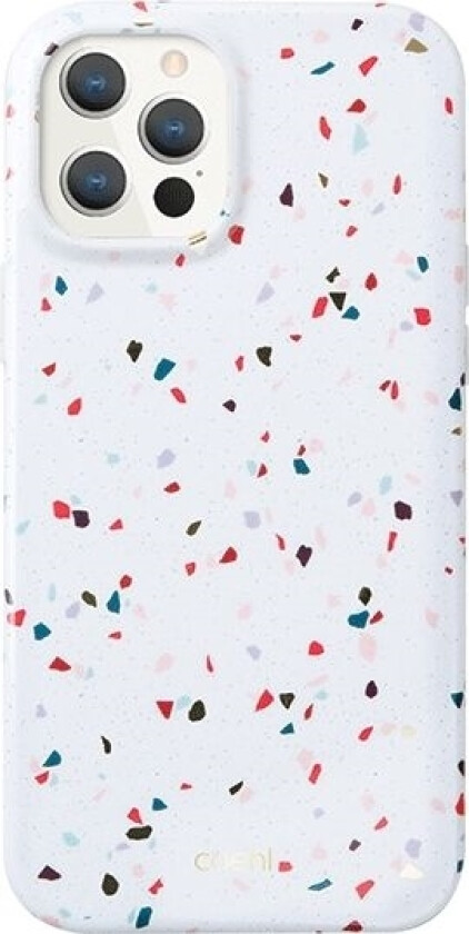Uniq UNIQ CASE Coehl Terrazzo Apple iPhone 12/12 Pro white/natural white