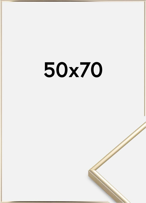 Ramme Visby Akrylglass Blank Gull 50x70 Cm
