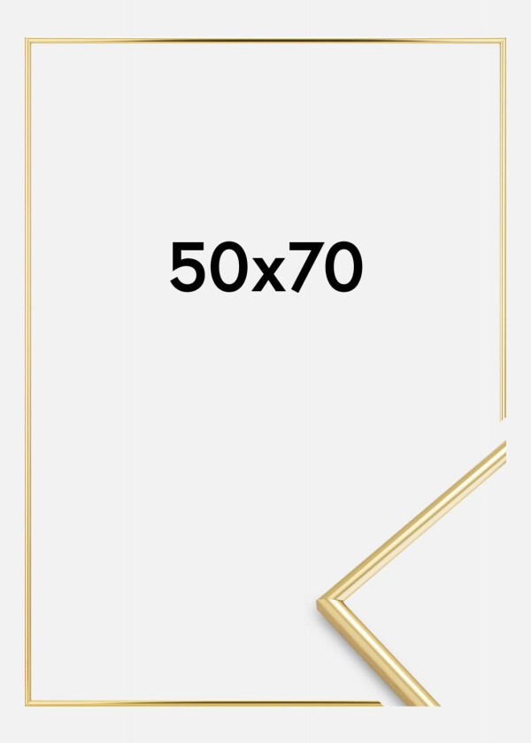 Focus Ramme Can-Can Gull 50x70 Cm