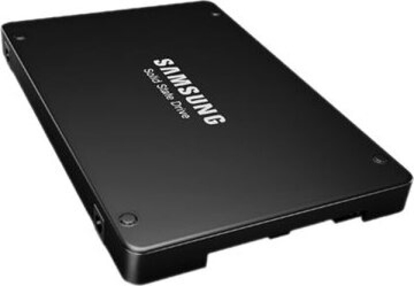 PM1643a MZILT1T9HBJR - SSD - 1.92 TB - intern (stasjonær) - 2.5 - SAS 12Gb/s