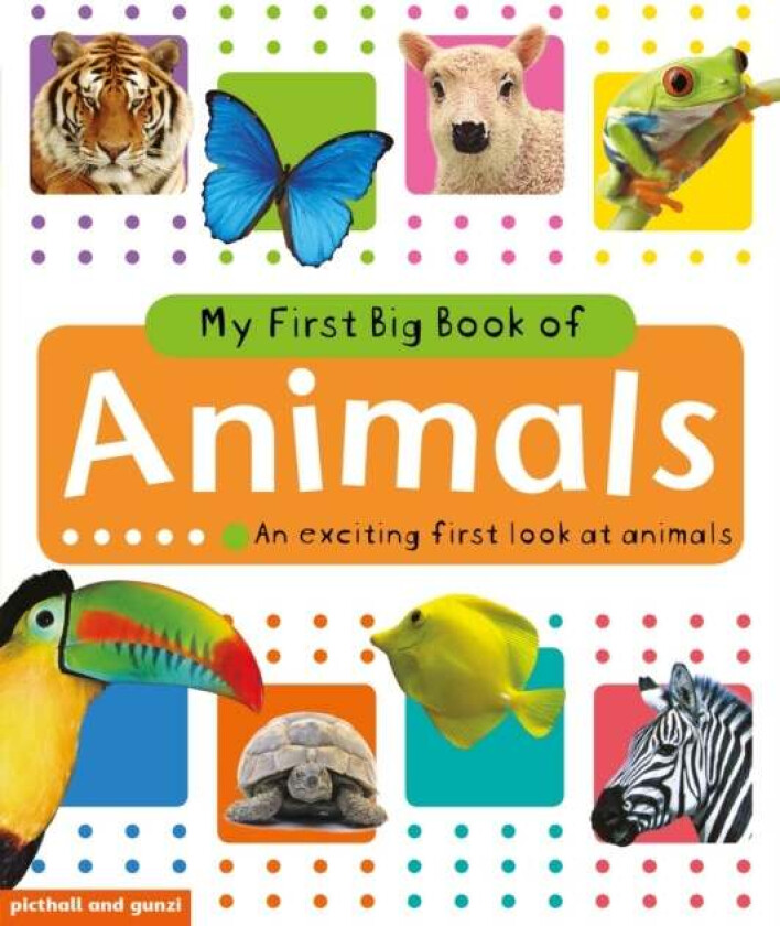 My Big Book Of Animals